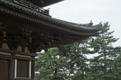 Kōfuku-ji detail