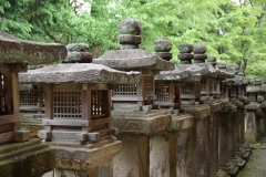 Nara lanterns 3