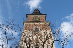 Tower and Tree. Rynek Główny, Kraków