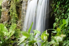 Ginger waterfall