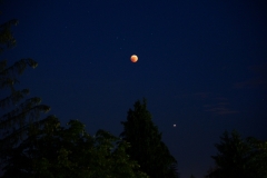 Bled Blood Moon