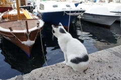 Dubrovnik 25