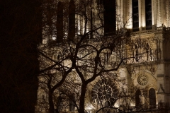 Paris6