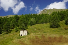 Champoluc-3