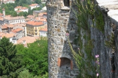 Gorica 8