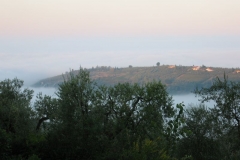 Tuscany 1