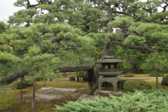 Nijō Castle 3