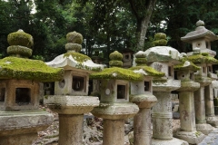 Nara lanterns 1