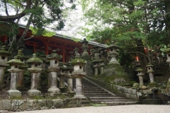 Nara lanterns 2