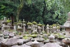 Nara lanterns 4