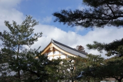 Roof and trees