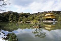Kinkaku-ji 4