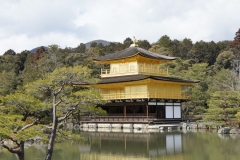 Kinkaku-ji 3