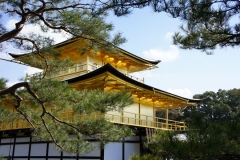 Kinkaku-ji 1