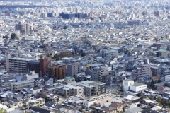 The density of Kyoto