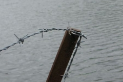 A rusting fence on the shore of Grassmere