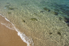 Malta 19