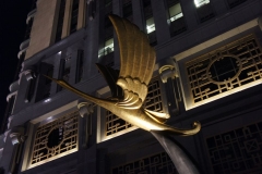 Crane in flight