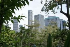 City meets forest