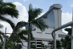 Hotel through palms