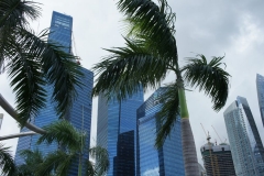 Towers through palms