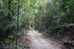Singapore-1