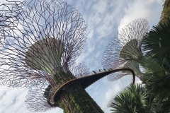 Singapore-16