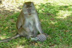 Singapore-24