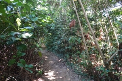 Singapore-3