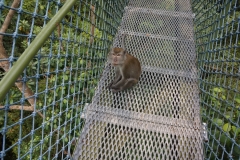 Singapore-5