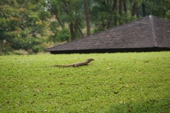 Singapore-7