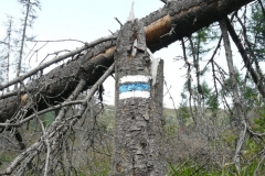 Waymark 2