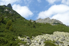 Popradské pleso