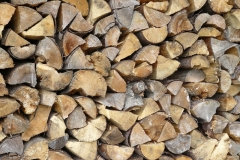 Logs