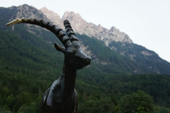 Zlatorog