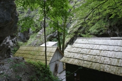 Hidden hospital