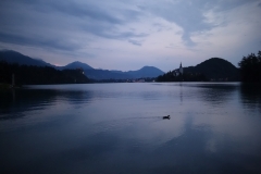 Dusk over Lake Bled 1