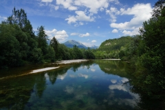 Sava Bohinjka
