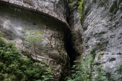 Pokljuka Gorge