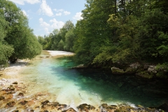 Sava Bohinjka at Bohinj
