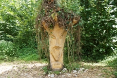 Wooden Head